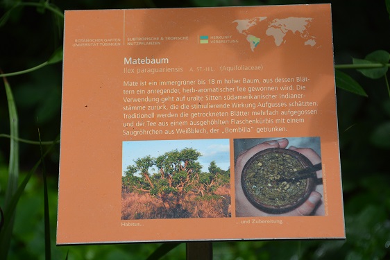 Tuebingen_BotGarten_Matetee-Schild komp.jpg